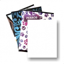 Cuaderno Papiro 96hjs. Liso